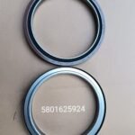 Rear crankshaft oil seal 5801625924 for IVECO FPT