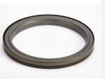 Rear crankshaft oil seal 5801625924 for IVECO FPT - 图片 2